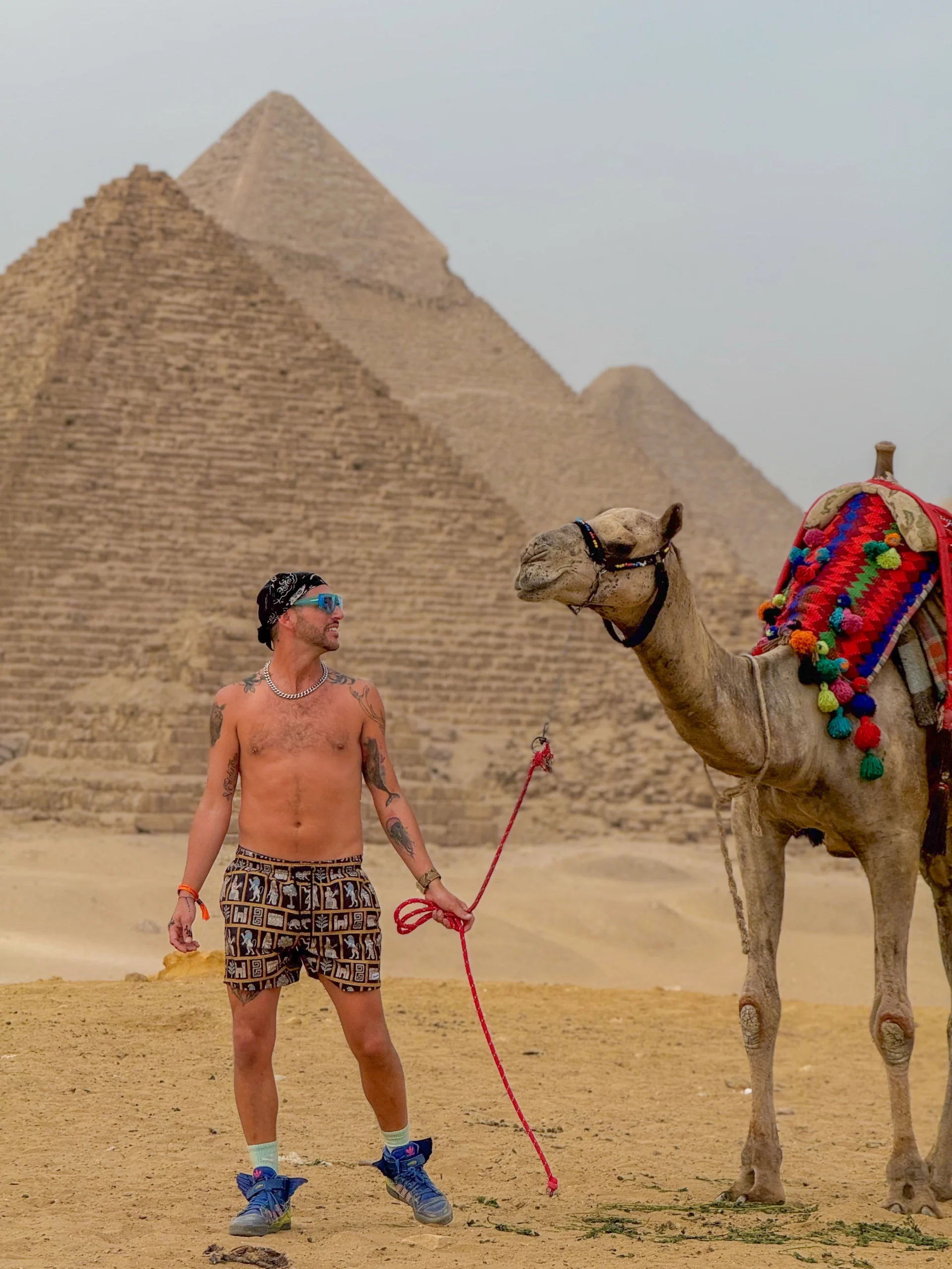 camel-ride-giza-pyramids-tour