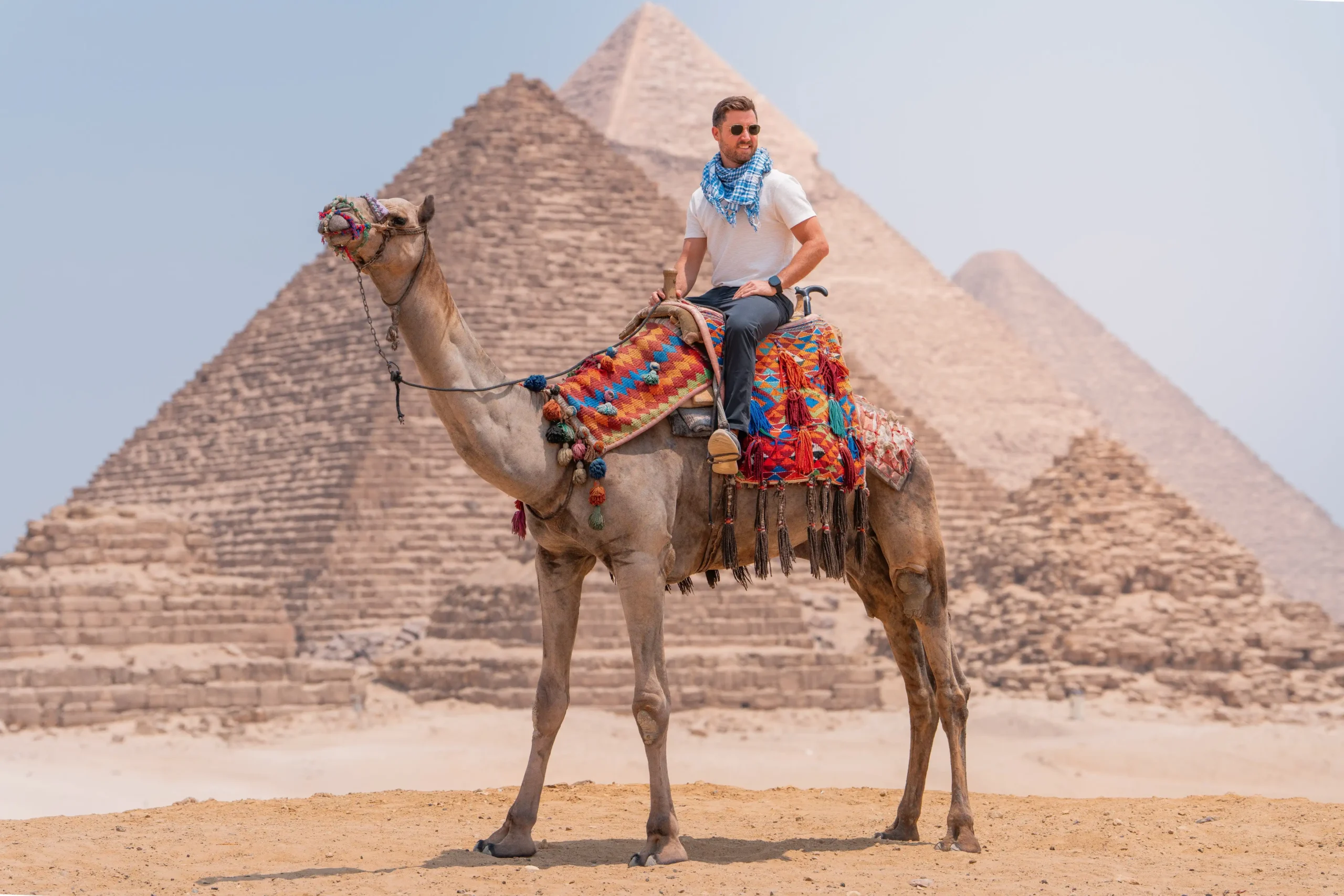 Traveler riding a decorated camel in front of the Giza Pyramids