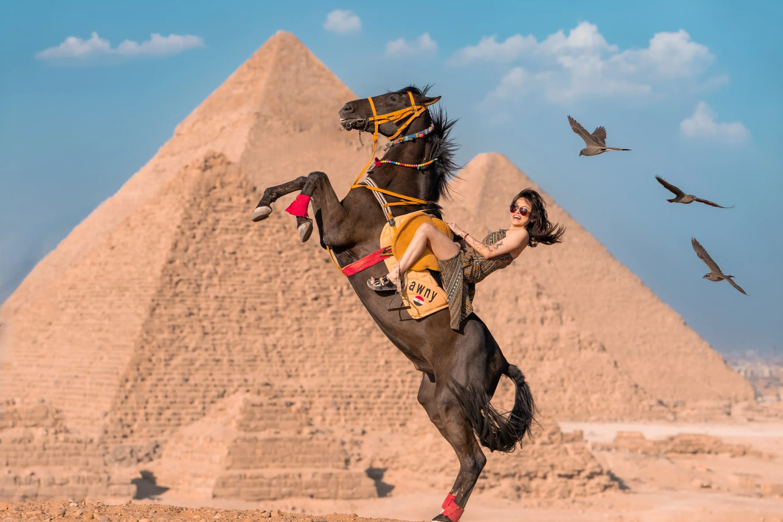 Giza Pyramids Photoshoot & tour with Jumping Horse, Camel, Sphinx